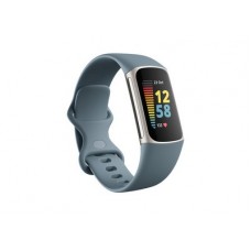 Fitbit Charge 5 Steel Blue/Platinum